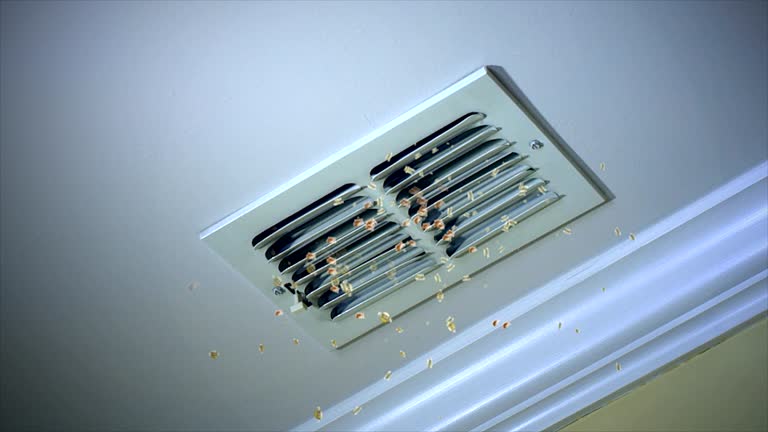 Best Dryer Vent Cleaning Services  in Troy, MO